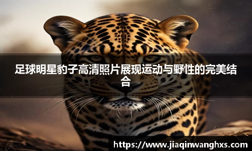 足球明星豹子高清照片展现运动与野性的完美结合